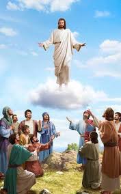 The Scripture Says This Same Jesus Shall So Come In Like Manner As You Have Seen Him Go Into Heaven Without Bible Photos Jesus Pictures Jesus Scriptures