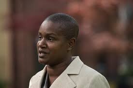 Former MP Paul Manly urged to apply for Green Party interim leader position 