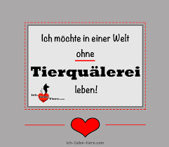 ich mochte in einer welt ohne tierqualerei leben http www ich liebe tiere com tierspruche worter lustige spruche