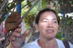 Ronald Kelly 一起旅游看世界