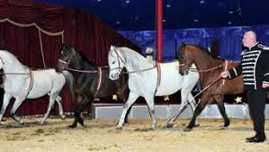 What's new now, with the support. Circus Barus Gastiert Mit Seinem Bunten Programm Am Parkplatz Des Badesees In Rodgau Rodgau