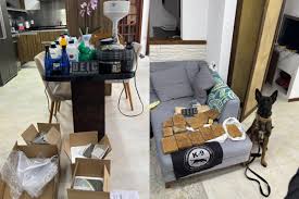 Operação prende líder de máfia russo e descobre laboratório de cocaína dentro de mansão de luxo em SC, diz polícia