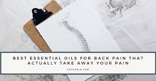 Eucalyptus oil is one of the key essential oils for back pain. 16 Best Essential Oils For Back Pain That Actually Take Away Your Pain Kateable