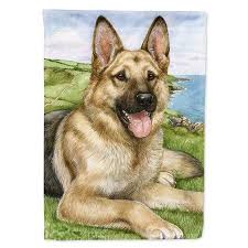 Black And Tan Faded German Shepherd Puppies German Shepherd By Debbie Cook Flag Canvas House Size Walmart Com German Shepherd Dogs German Shepherd Artwork German Shepherd