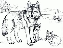 Check out our nice collection of the animals coloring pictures worksheets.new animals coloring pages added all the time. 9ipbbdn6ttable Wolf Coloring Pages That Are Hard To Color Pictures For Kids Slavyanka