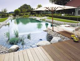 Back To Nature How To Build An Environmentally Friendly Swimming Pool Natural Swimming Ponds Natural Swimming Pools Backyard Pool