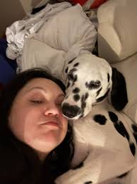 River has a severe uti and crystals. Switching him to an even lower protein  prescription diet. Taking antibiotics, but vet gave him a joint shot  adoquin, and wants him to take these