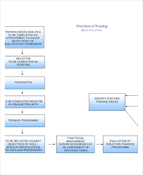 Dichotomous Flow Chart Template Www Bedowntowndaytona Com