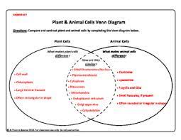 Plant and animal cell comparison using venn diagram. Plant And Animal Cell Venn Diagram By A Thom Ic Science Tpt