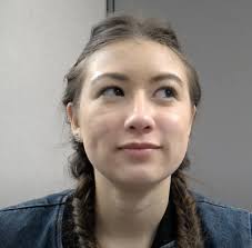 Exploiting Group Structures to Infer Social Interactions From Videos