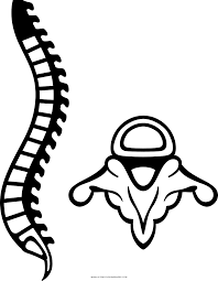 Spinel steven universe coloring page color for fun pages. Spine Coloring Page Ultra Coloring Pages