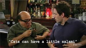 10 hilarious quotes from 'it's always sunny in philadelphia'. Jules On Twitter You Can Put Any Recent Meme Quote Over A Pic Of Danny Devito In It S Always Sunny And It Will Work