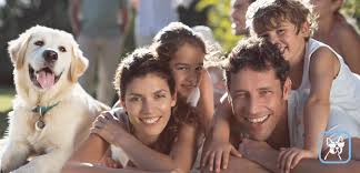 Check spelling or type a new query. Garde De Chien En Famille D Accueil Holidog