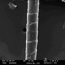 This material comes from bactrian camels. Pdf Morphology And Thermal Behaviour Of Textile Fibres From The Hair Of Domestic And Wild Goat Species