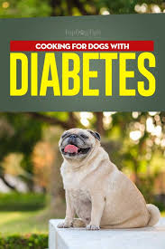 Dogs diagnosed with diabetes mostly remain diabetic for the rest of their lives. Dog Diabetes Diet Vet S Guide On What To Feed A Diabetic Dog My Pet Channel