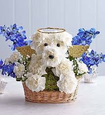 Every Dog Goes To Heaven Bouquet A Lovely Dog Sympathy Gift Dog Sympathy Gifts Pet Sympathy Gifts Dog Sympathy
