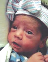 Slovak Catholic Falcon