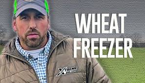 Experimenting with Wheat Broadcasting: Lessons from the Field