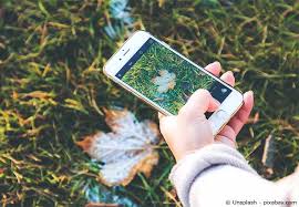 Doch dabei gibt es einiges zu beachten. Die Besten Garten Apps Fur Hobbygartner Garten Hausxxl Garten Hausxxl