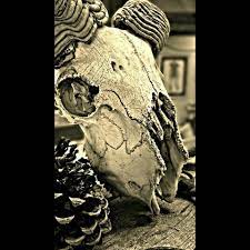 Tattoos which wrap around the ankle are eye catching Bleeding Cowboy Tattoo Home Facebook