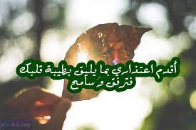 صور أسف واعتذار عبارات أسف واعتذار مكتوبة علي صور holiday decor christmas ornaments holiday