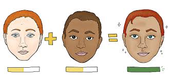 Study illustrates link between average faces, attractiveness