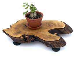 Large Live Edge Wood Slab Plant Stand Bonsai Display Stand Etsy In 2021 Wooden Plant Pots Wooden Plant Stands Live Edge Wood