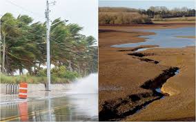 Trend Google: el niño 2026