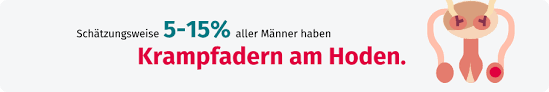 Man erkennt gut die erweiterten, geschlängelt verlaufenden venen entlang des samenstrangs.eine varikozele, varicocele testis (lat. Varikozele Symptome Diagnose Und Behandlung Gesund Bund De