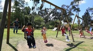 Image result for parque