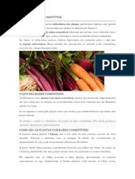 Tipos De Raizes Comestiveis Pdf Raiz Vitamina