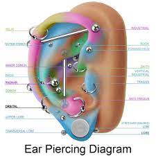 Best Prices For Body And Facial Piercings In Stoke On Trent Face Piercings Cool Ear Piercings Ear Piercing Diagram