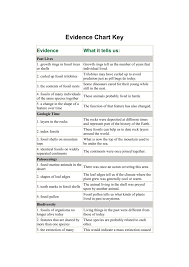 Stories From The Fossil Record Evidence Chart Key