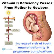 Maybe you would like to learn more about one of these? Dr Steven Lin In The Womb A Child Is Imprinted With Signals From Its Mother S Body Today We Are Learning How Important Ante Prenatal And Postnatal Nutrition Is To Help Nourish