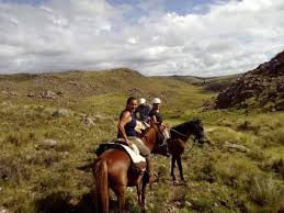 Turn on heating quite in advance passengers arrive. Horse Riding Holiday In Argentina Responsible Travel