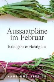 Aussaatplane Im Februar Bald Geht Es Richtig Los Haus Und Beet Wintergemuse Anbauen Gemuse Anbauen Kuchenkrauter