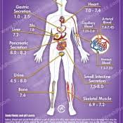 Ph Balance And Alkaline Level Charts Keep Track Of Your