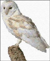 Ebay.com has been visited by 1m+ users in the past month Snow Owl Counted Cross Stitch Pattern Cross Stitch Kits How To Kromasol Com