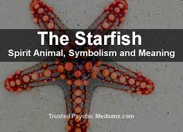 The Starfish Spirit Animal A Complete Guide To Meaning And Symbolism Spirit Animal Starfish Animal Spirit Guides
