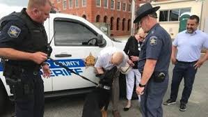 Bel Air Couple Donate 2 800 To Buy Safety Mechanisms For Harford County Police Dogs Police Dogs Dog Safe Dogs