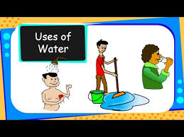 Science Importance Of Water For Children English