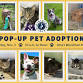 Pop-up Pet Adoption event event image