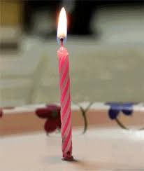 Download this free picture about birthday cake burn candles from pixabay's vast library of public domain images and videos. Perfect Metaphor For Life Letting A Birthday Candle Burn Out Birthday Candles Burning Candle Candles