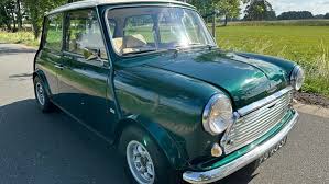 Image result for Honeysuckle 1972 Austin