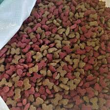 Croquetas Para Perro