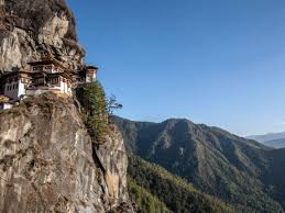 The robot is programmed to cry for attention and . Paro Get The Detail Of Paro On Times Of India Travel