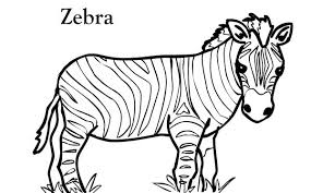 Zebra animals coloring pages printable coloring page image for kids of all ages. Short Zebra Coloring Page Kids Play Color Zebra Coloring Pages Cute Coloring Pages Animal Coloring Books