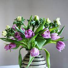 We did not find results for: Best Flowers For Valentine S Day Besides Roses Cloverhome