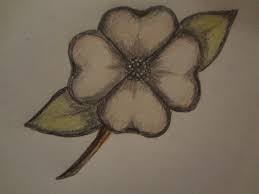 How To Draw A Dogwood Flower Flower Drawing Art Drawings For Kids Drawings