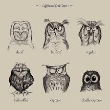 Caffeinated Owl Chart Sketches Owl Art Owl Coffee